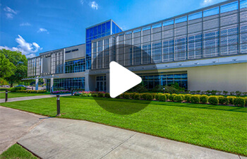 Hammer Center