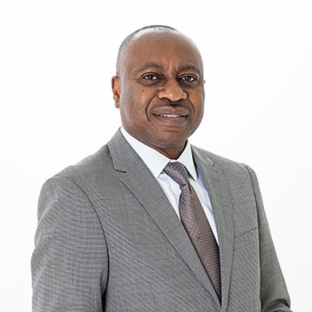 Dr. Paul Okoruwa